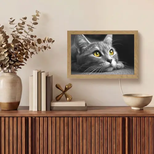 Kat - Zwart - Wit - Dieren - Natuur Light Box met kabel (Tafellamp) klein -sfeer2