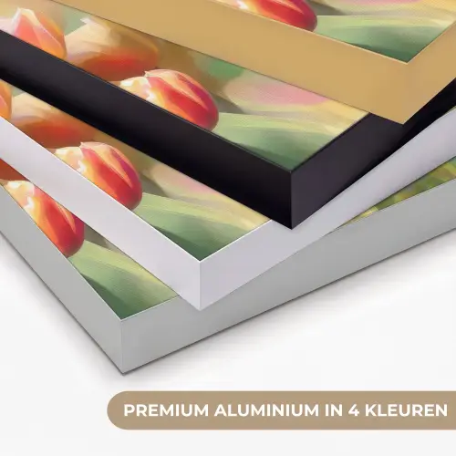 Tulpen - Sprookjesachtig - Kleurrijk Textielframe zwart klein -USP_kleurenNL