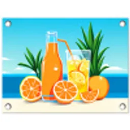 Sinaasappels - Ijsblokjes -  Zee - Illustratie tuinposter los doek klein -3d