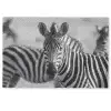 Zebra's - Zwart - Wit Deurmat klein -zkaufland3d