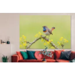 Vogel - Tak - Natuur - Kleurrijk forex 5mm xxl -woonkamer