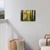 Bos - Zon - Bomen - Gras - Landschap  - Natuur tuinposter los doek klein -sfeer8
