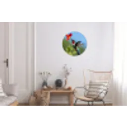 Kolibrie - Bloem - Natuur - Groen Wandcirkel aluminium klein -woonkamer