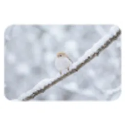 Vogeltje - Sneeuw - Tak - Winter - Zacht Badmat klein -3d