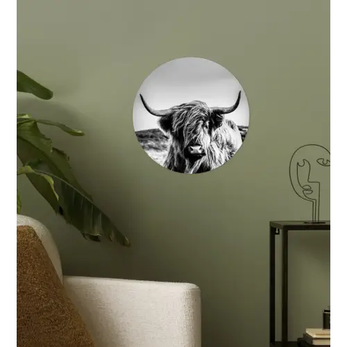 Koe - Schotse hooglander - Zwart - Wit - Dier - Natuur - Wild Wandcirkel behangsticker klein -sfeer2