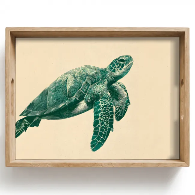 Bandeja - Tortuga - Elegante - Verde - Escudo