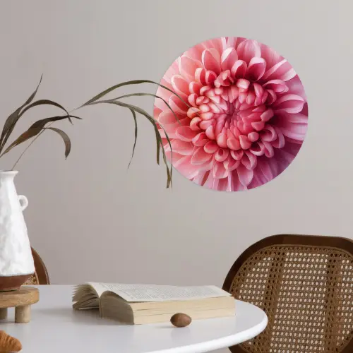 Dahlia - Bloem - Close up - Roze Wandcirkel behangsticker klein -sfeer3