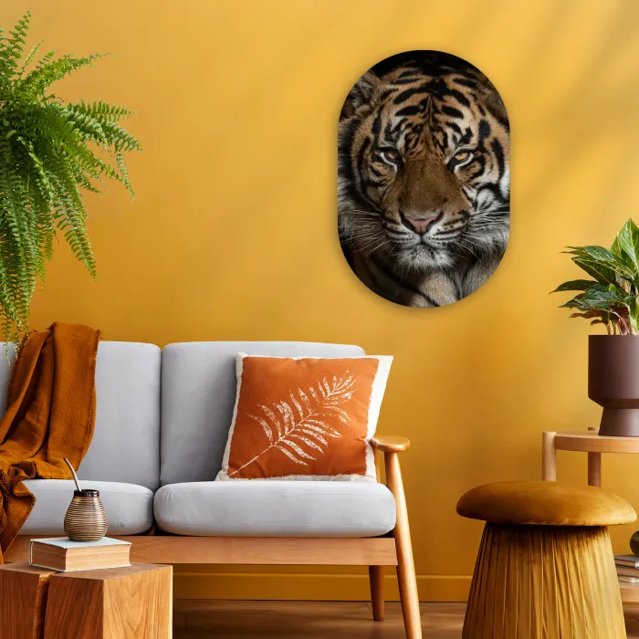 Tijger - Wilde dieren - Portret Wandcirkel Ovaal Forex klein -sfeer4