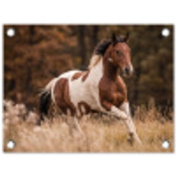 Paard - Bruin - Gras tuinposter los doek klein -3d