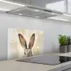 Haas - Oren - Bruin keuken achterwand spatscherm klein -3d_schuin