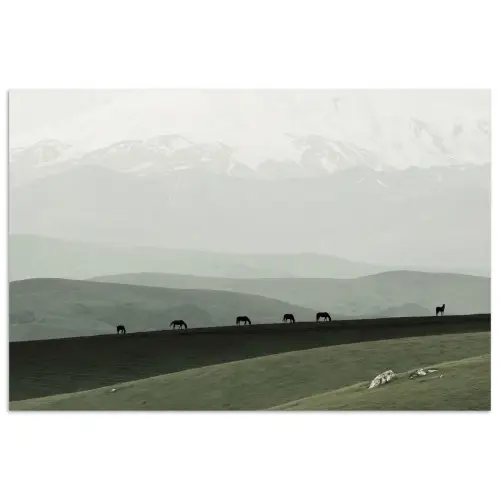 Grijs - Berg - Paarden poster papier klein -3d