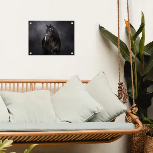Portret - Paard - Zwart tuinposter los doek klein -sfeer7