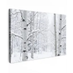 Berkenbomen - Sneeuw - Winter - Bos - Wit canvas 2cm klein -z3d
