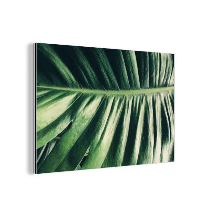 Palmblad - Tropisch - Natuur - Jungle aluminium wit klein -3d