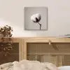 Katoenbol - Minimalistisch - Wit aluminium wit klein -sfeer3