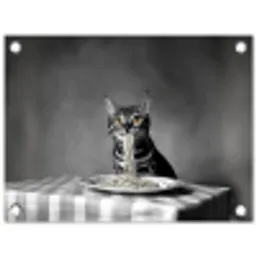 Bengaal - Kat - Tafelkleed - Zwart - Wit - Dier tuinposter los doek klein -3d