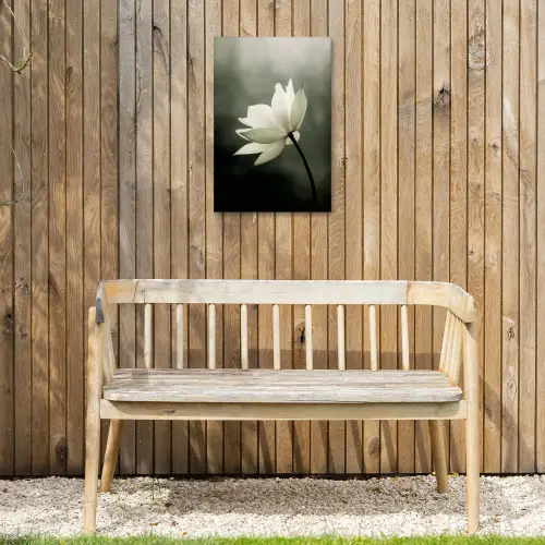 Wit - Lotus - Donker - Bloem Tuinposter op houten frame 2 cm dik klein -sfeer4