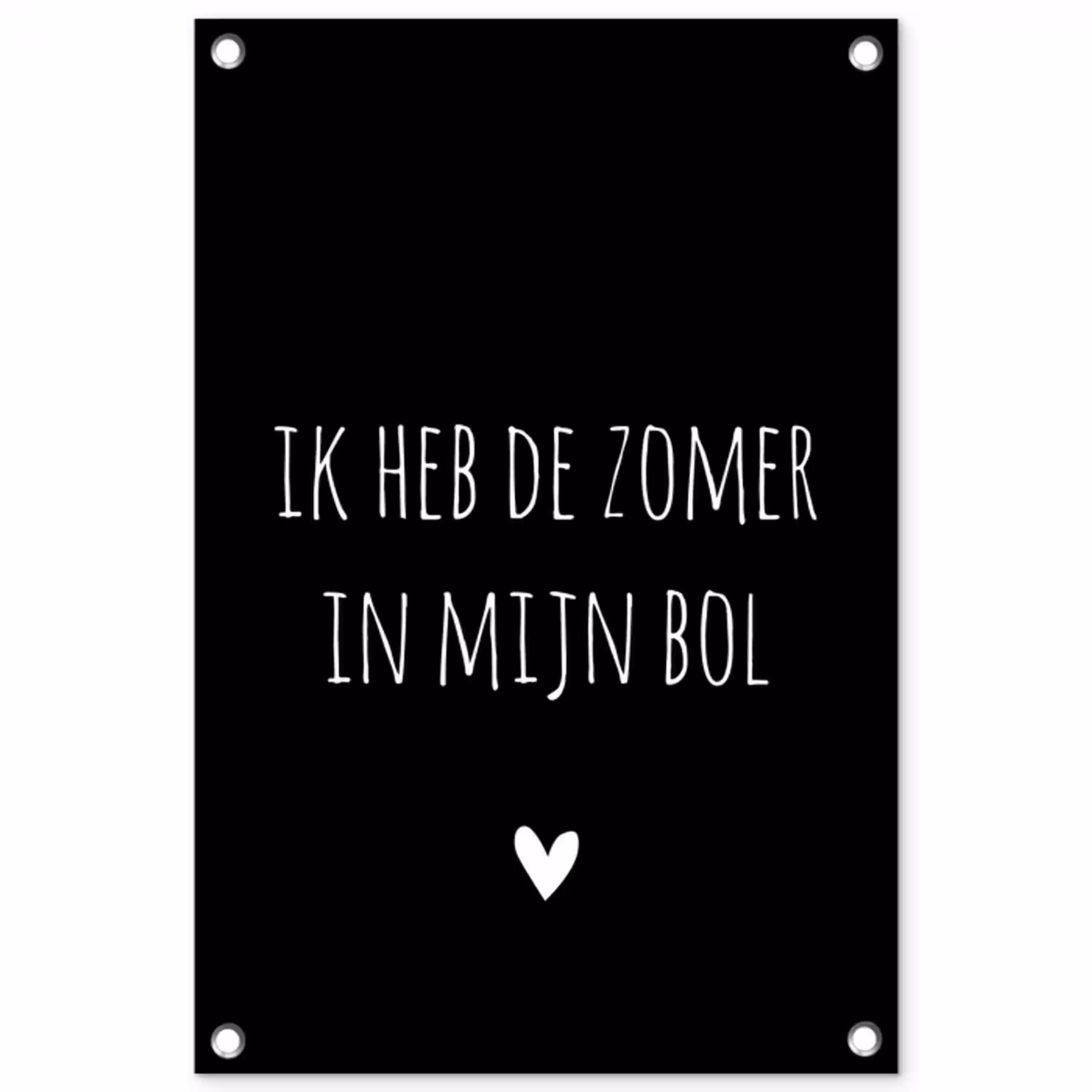 Ik heb de zomer in mijn bol - Quotes - Spreuken - André Hazes tuinposter los doek klein -3d