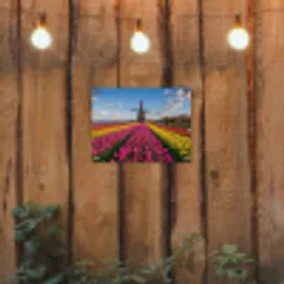 Tulpen - Holland - Molen - Kleurrijk tuinposter los doek klein -sfeer1