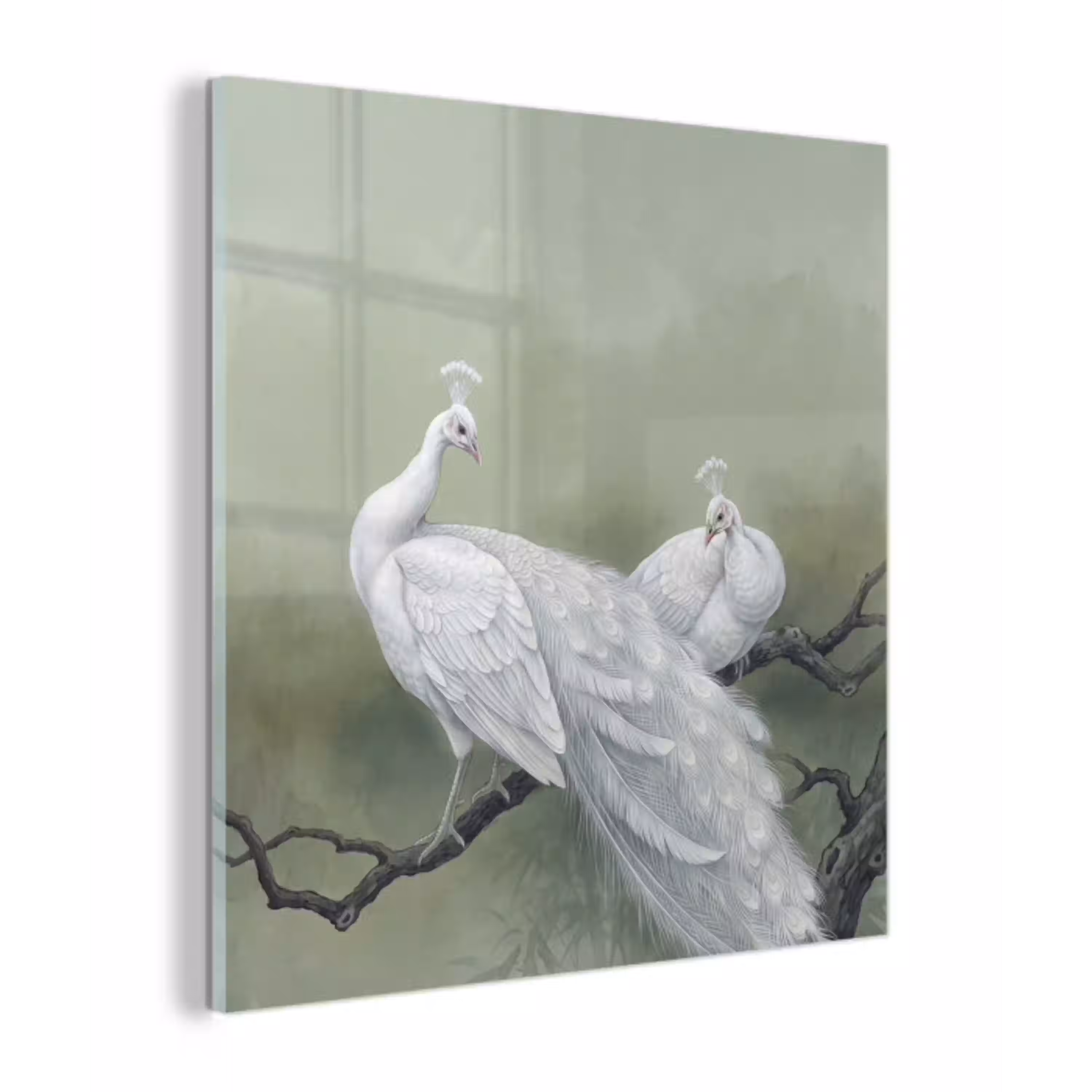 Pauwen - Wit - Natuur - Groen plexiglas 5mm klein -z3d