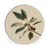 Tak - Groene Bladeren - Vruchten Wandcirkel aluminium klein -3d