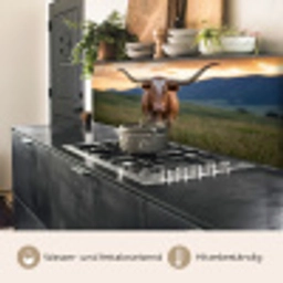 Longhorn - Landschap - Zonsondergang keuken achterwand 2 middel -usp_DE