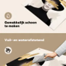 Vrouw - Portret - Modern - Goud - Kunst Inductie beschemer met haakjes klein -ky-schoon-nl