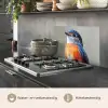 Kleurrijk - Vogeltje - Veren - Blauw keuken achterwand spatscherm klein -usp_NL