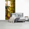 Bos - Pad - Bomen - Groen - Zon - Natuur fotobehang vinyl groot -slaapkamer