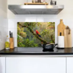 Ara - Jungle - Rood Inductie beschemer met haakjes klein -sfeer2