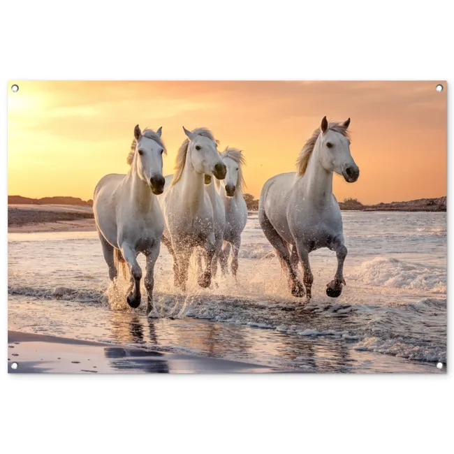Tuinposter - Witte paarden galopperen langs de kust