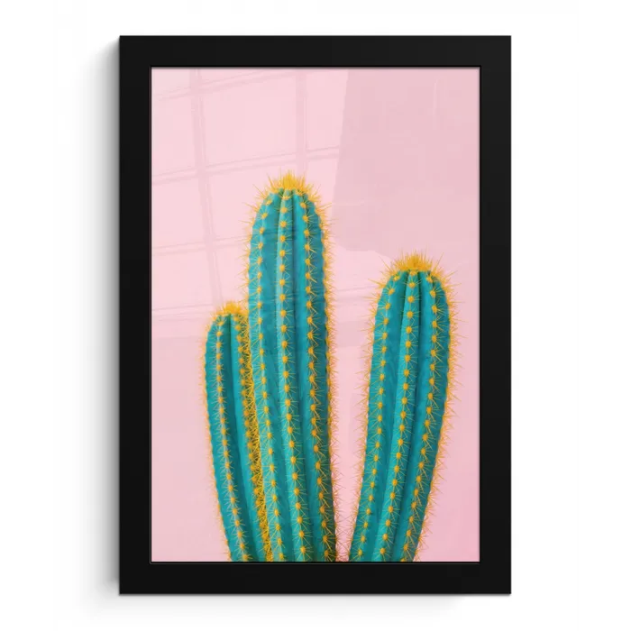 Cactussen - Modern - Pastel fotolijst zwart zonder passe partout klein -3d