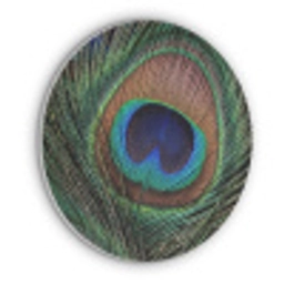 Pauwenveren - Klassiek - Groen Akoestische PET Vilt - Rond klein -3d