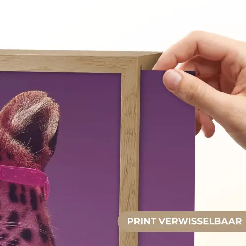 Panter - Zonnebril - Kauwgombel - Roze Light Box met batterij (Wandlamp) middel -USP_websiteprintNL