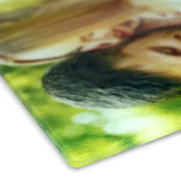 snijplank-closeup-1.png