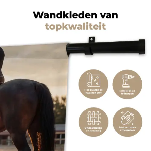 Harmonie - Ruiter - Zon Wandkleed katoen klein -sfeer2
