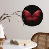 Vlinder - Rood - Minimalistisch Wandcirkel kunststof plaat 5mm dik klein -sfeer4
