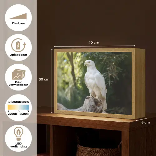 Arend - Hout - Wit - Planten Light Box met batterij (Wandlamp) middel -USP_websiteoverzichtNL