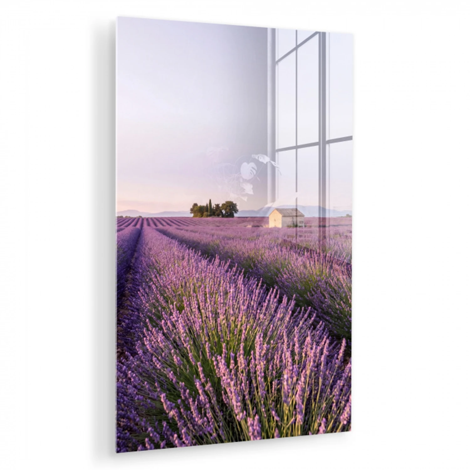 Lavendel - Landschap - Sereen - Paars plexiglas 5mm klein -zzzproduct_nieuw