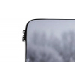 Schermbloem - Rijp - Kristallen - Winter - Delicaat laptophoes neopreen klein -detail