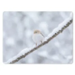 Vogeltje - Sneeuw - Tak - Winter - Zacht muismat rubber klein -3d