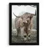 Schotse Hooglander - Bos - Mist - Koe - Dieren - Natuur fotolijst zwart zonder passe partout klein -3d