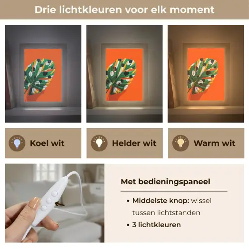 Blad - Oranje - Stippen - Kleurrijk Light Box met kabel (Tafellamp) klein -USP_lichtkleurNL