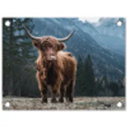 Hooglander in de Bergen tuinposter los doek klein -3d