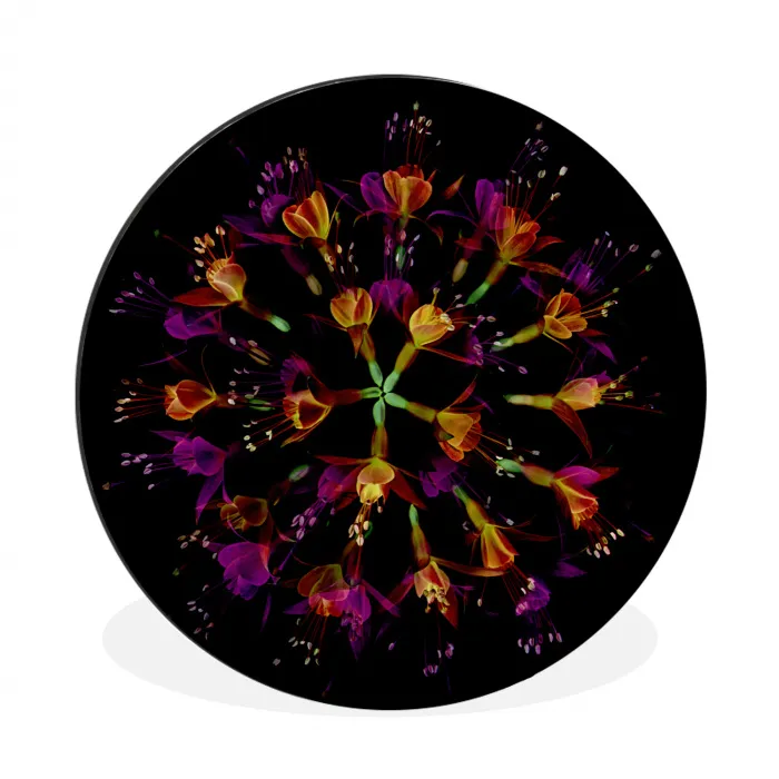 Bloemen - Oranje - Roze - Zwart Wandcirkel aluminium klein -3d
