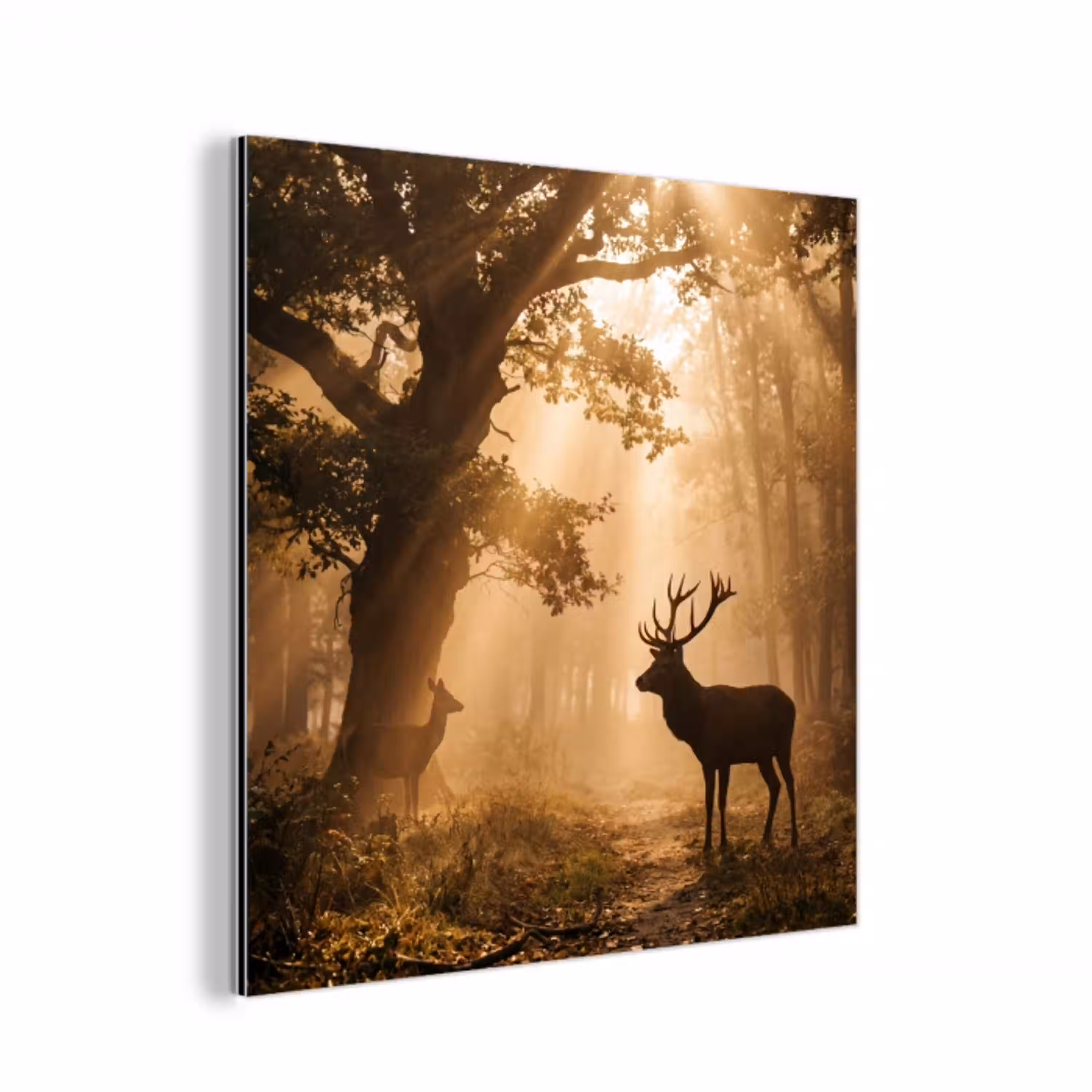 Hert - Bos - Mistig - Natuur - Goud aluminium wit klein -3d