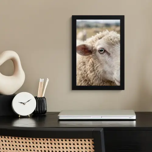 Schaap - Oog - Wit fotolijst zwart zonder passe partout klein -sfeer1