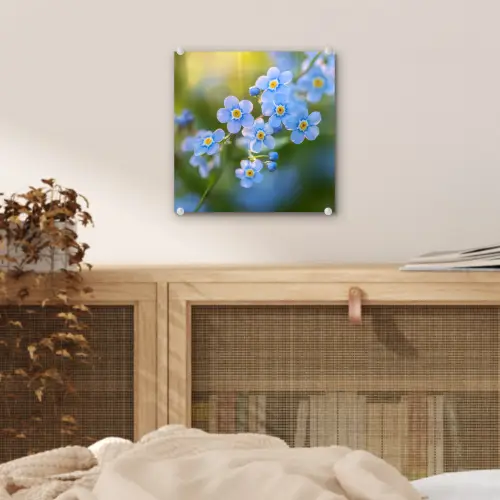 Bloemetjes - Blauw - Vergeet mij nietjes plexiglas 5mm klein -sfeer4