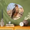 Valk - Vogel - Rots - Macht Wandcirkel Organisch Plexiglas middel -sfeer2