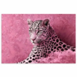 Panter - Luxe - Roze poster papier klein -3d